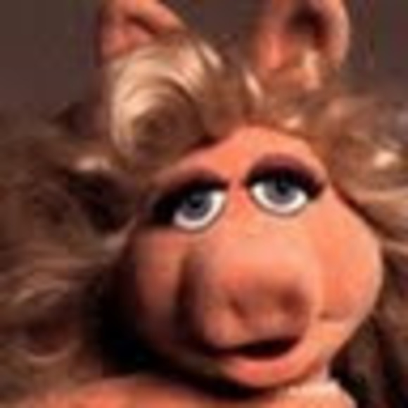 Meet your Posher, Yubie - Picture 1 of 1